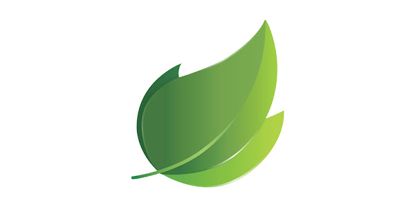 کاور Ivy