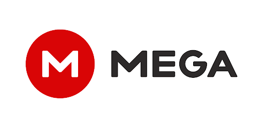 کاور Mega Networks LLC